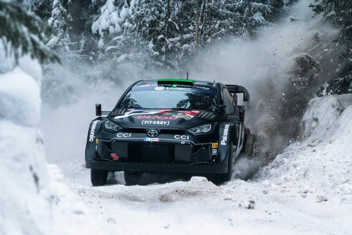 WRC 2024 Svezia. Velocissimo, bianco, invernale, unico (25)