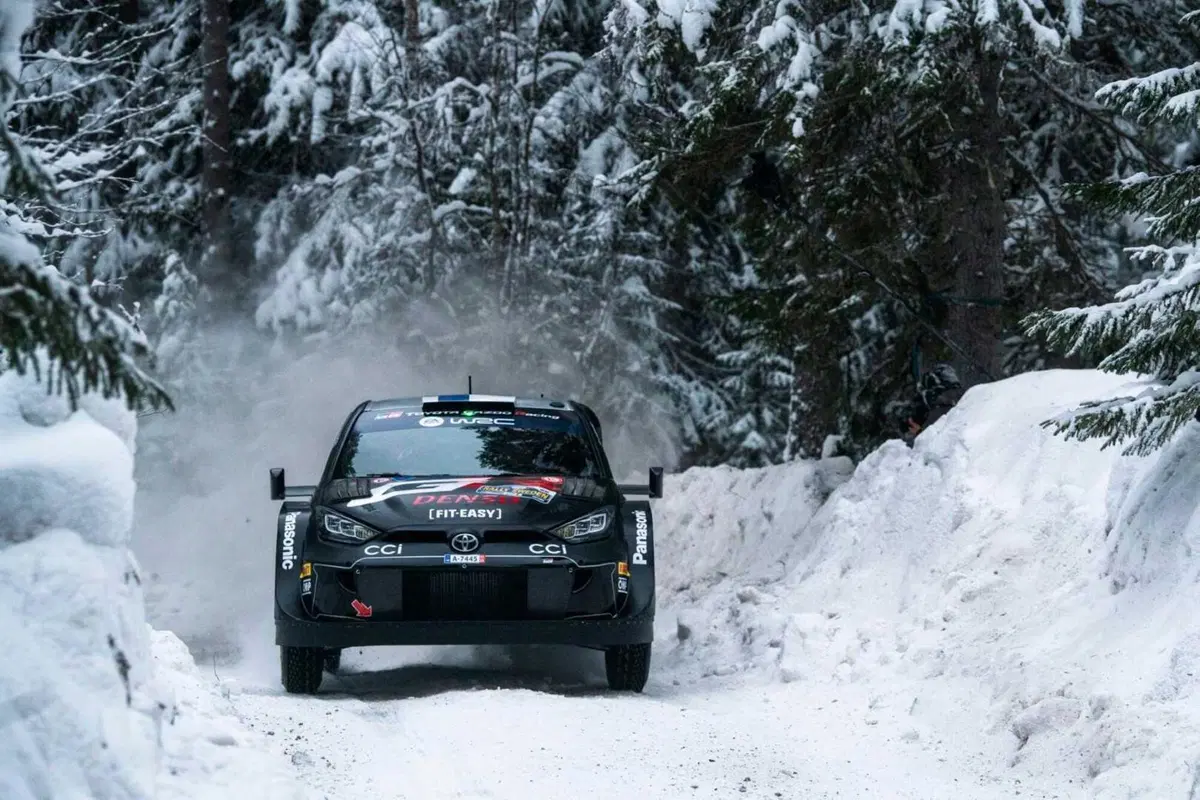 WRC 2024 Svezia. Velocissimo, bianco, invernale, unico (26)