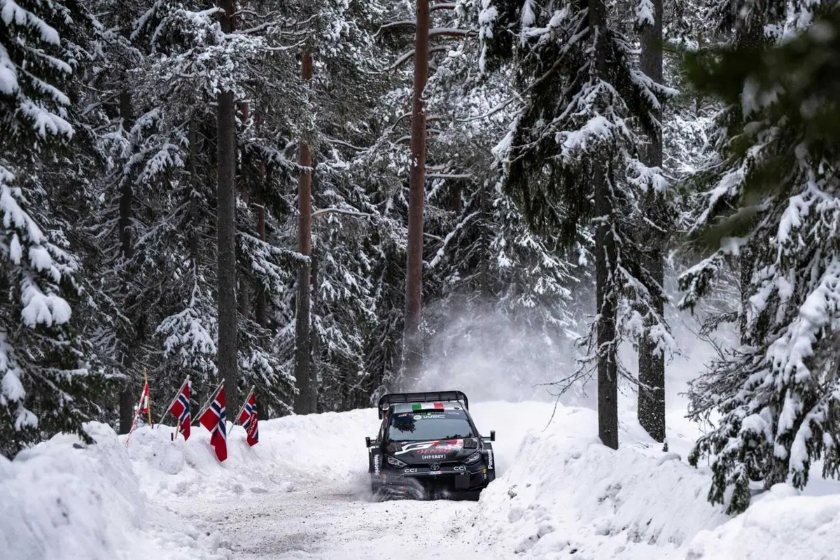 WRC 2024 Svezia. Velocissimo, bianco, invernale, unico (27)