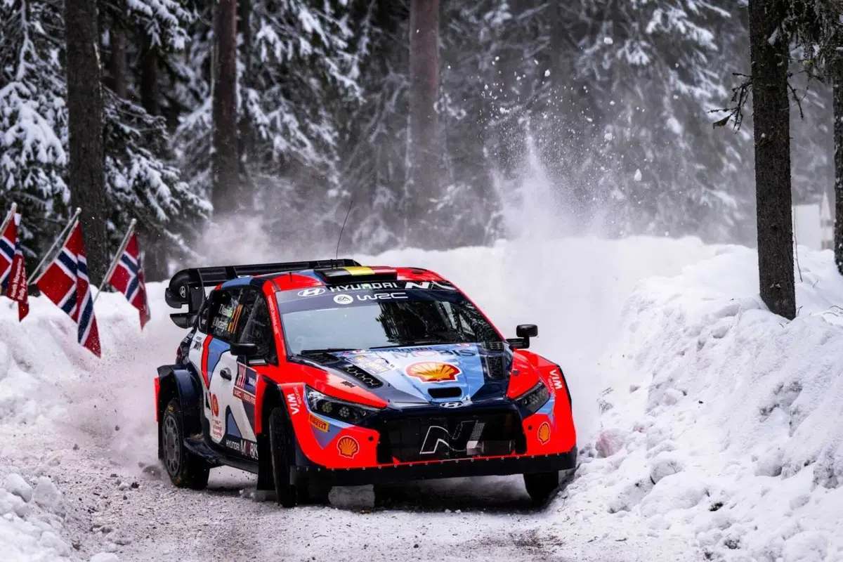 WRC 2024 Svezia. Velocissimo, bianco, invernale, unico (28)