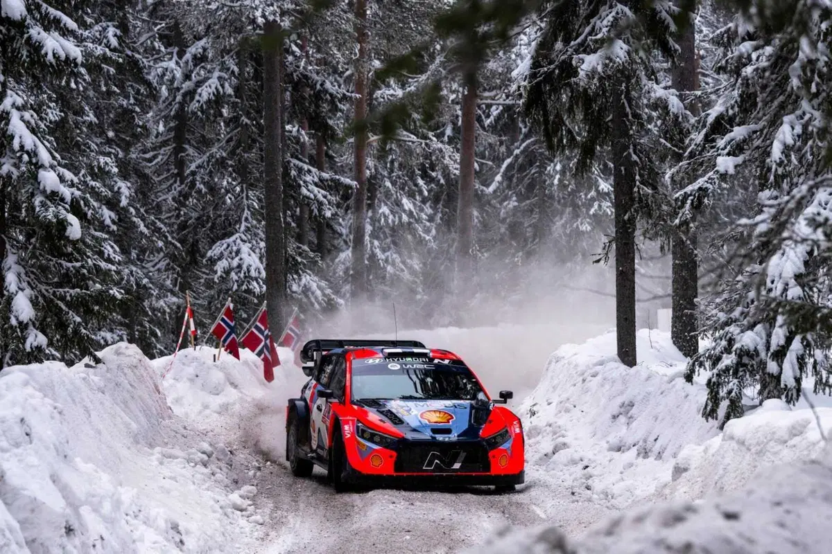 WRC 2024 Svezia. Velocissimo, bianco, invernale, unico (29)