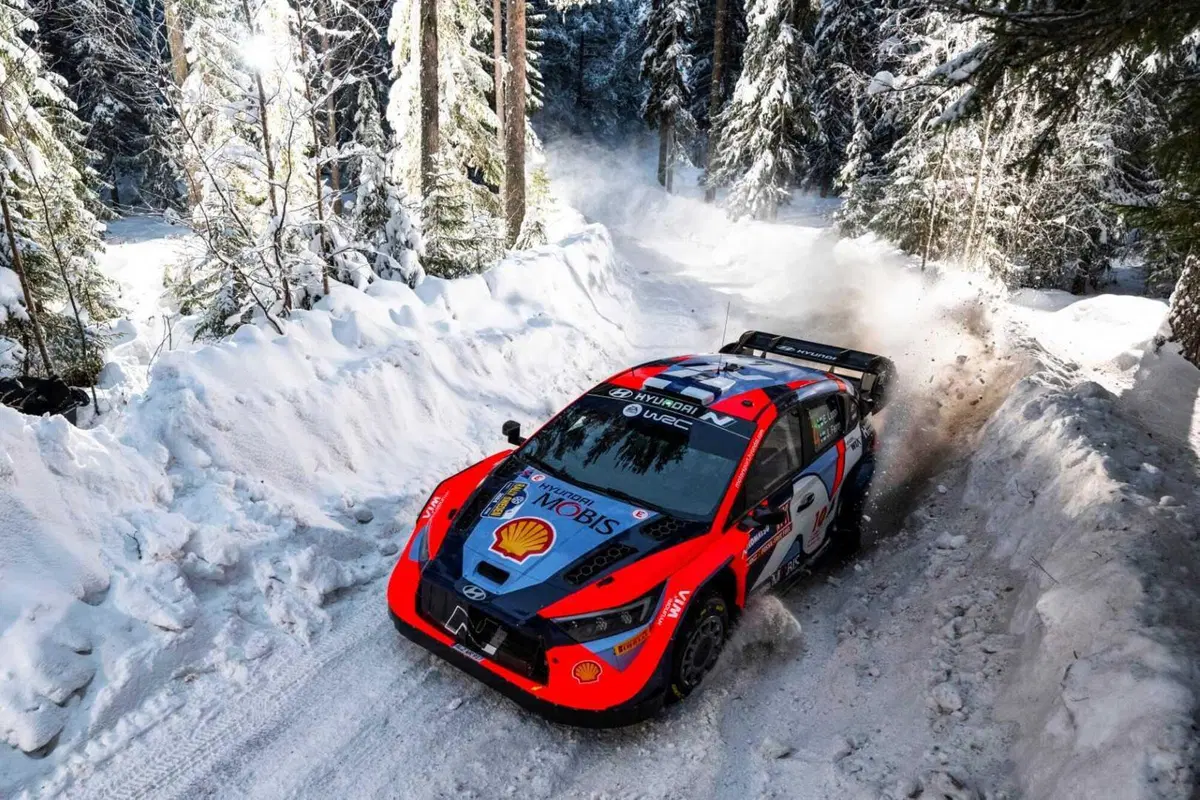 WRC 2024 Svezia. Velocissimo, bianco, invernale, unico (30)