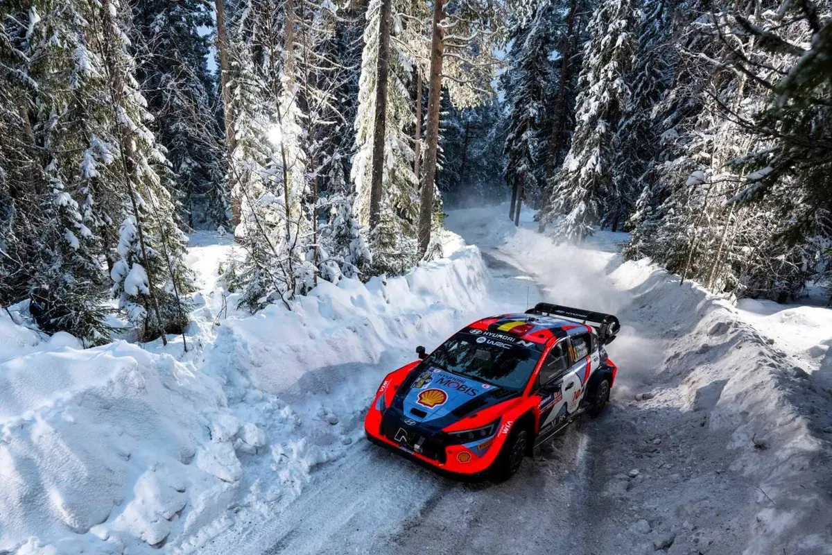 WRC 2024 Svezia. Velocissimo, bianco, invernale, unico (31)