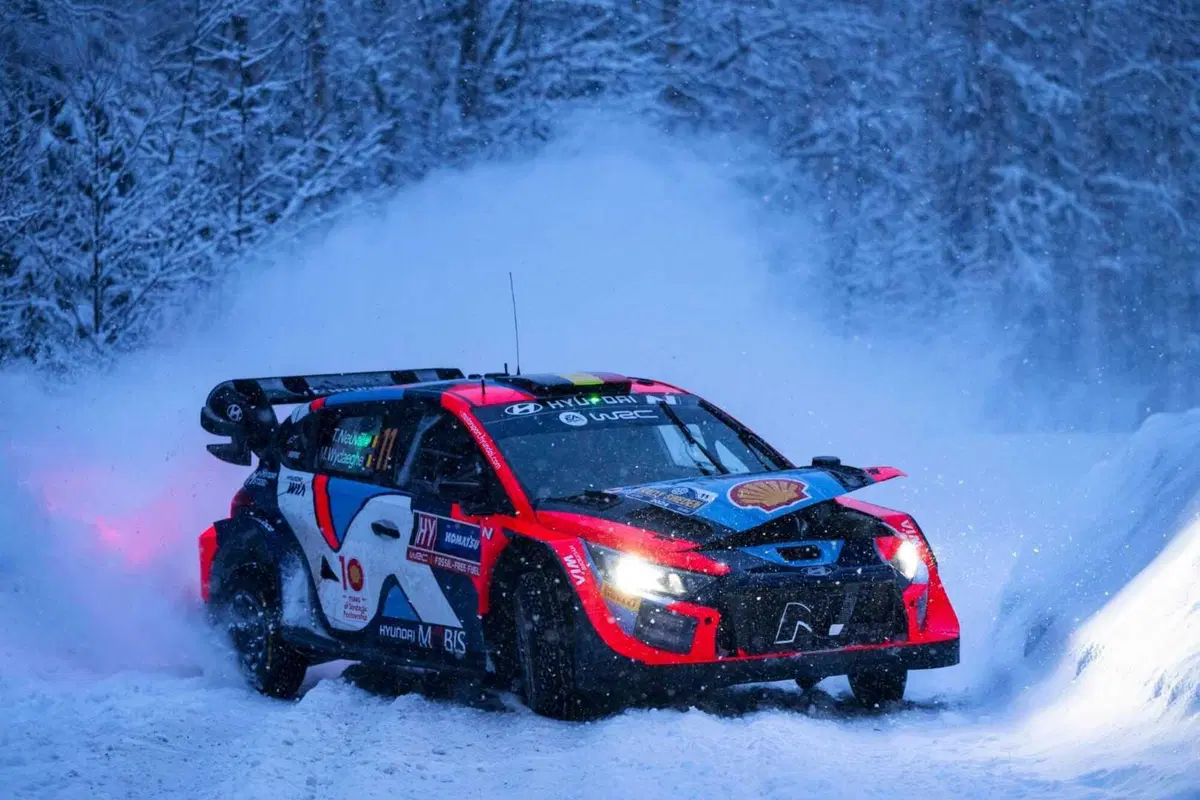 WRC24 Svezia D2. Lotteria bianca, a Lappi o Katsuta il biglietto vincente? (7)