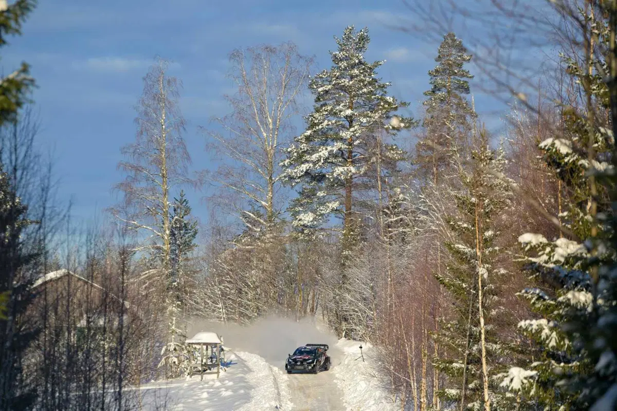 WRC24 Svezia D3. Esapekka Lappi, il solitario (18)