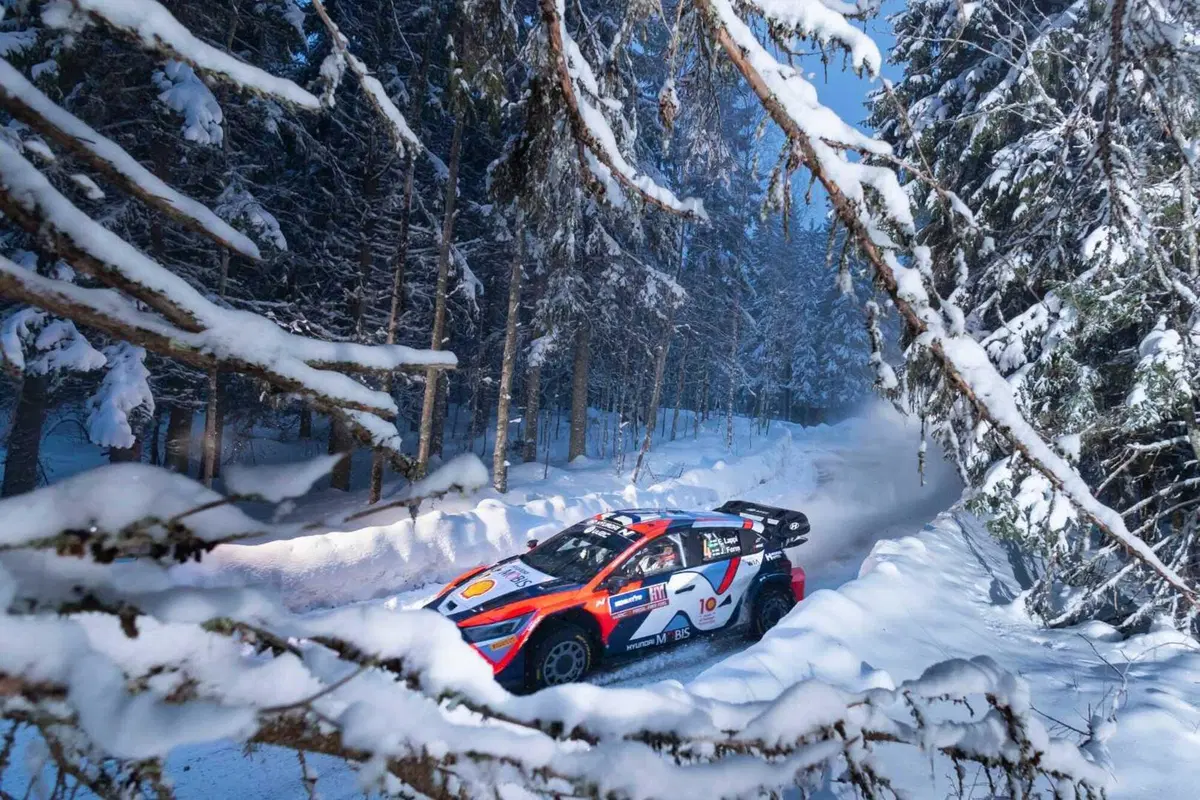WRC24 Svezia. Esapekka “EP” Lappi vince, Evans fa il pieno (3)