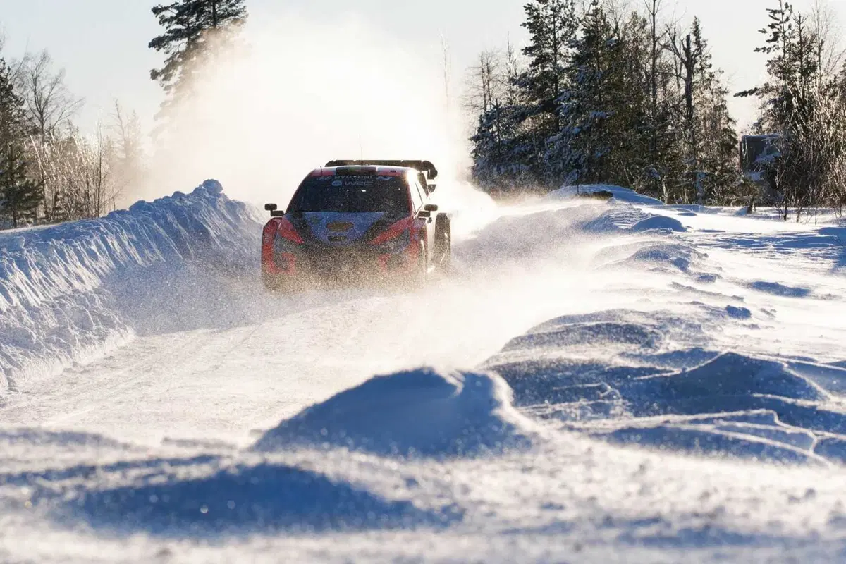 WRC24 Svezia. Esapekka “EP” Lappi vince, Evans fa il pieno (18)