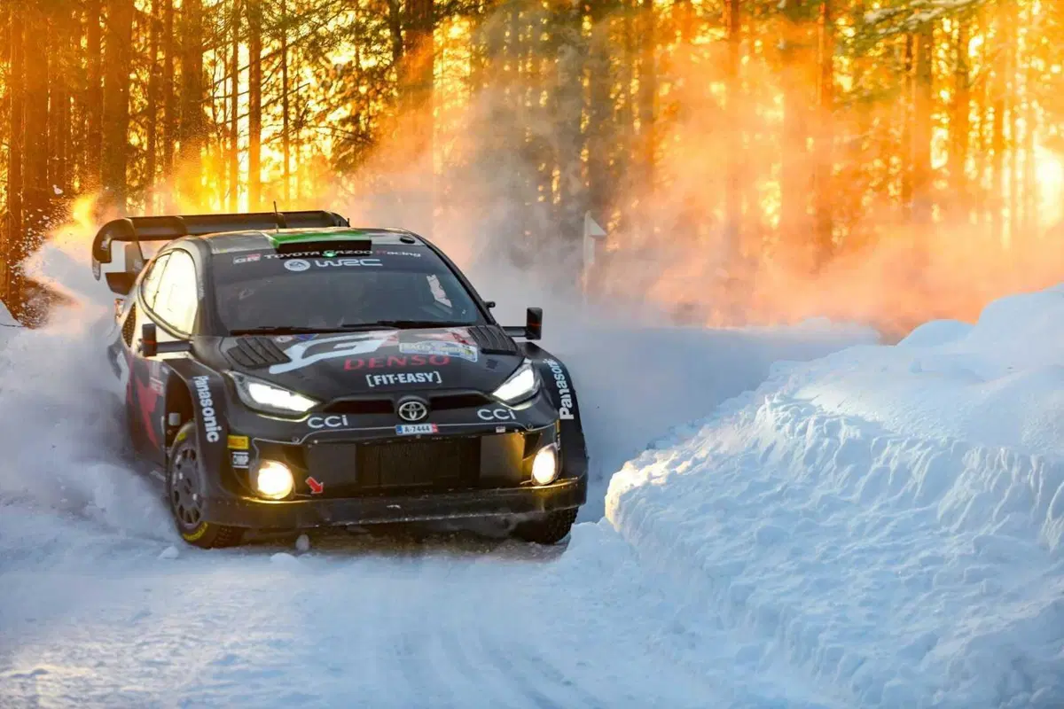 WRC24 Svezia. Esapekka “EP” Lappi vince, Evans fa il pieno (20)
