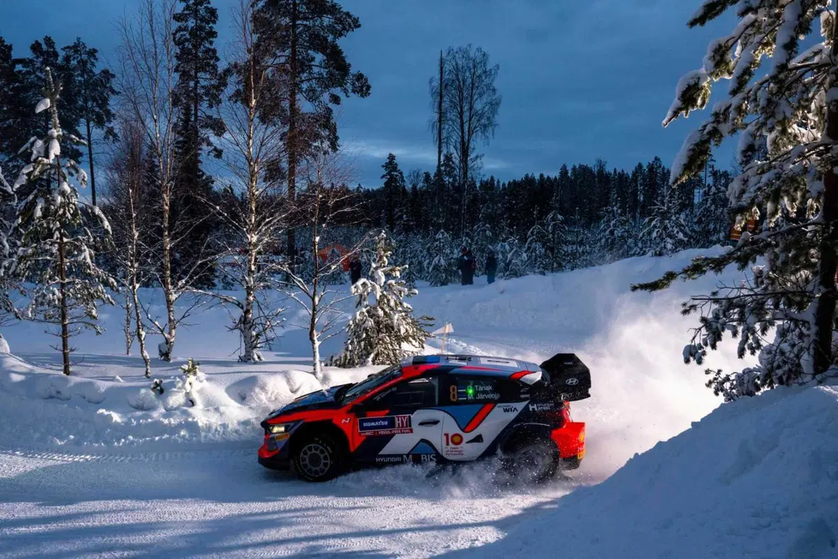 WRC24 Svezia. Esapekka “EP” Lappi vince, Evans fa il pieno (28)