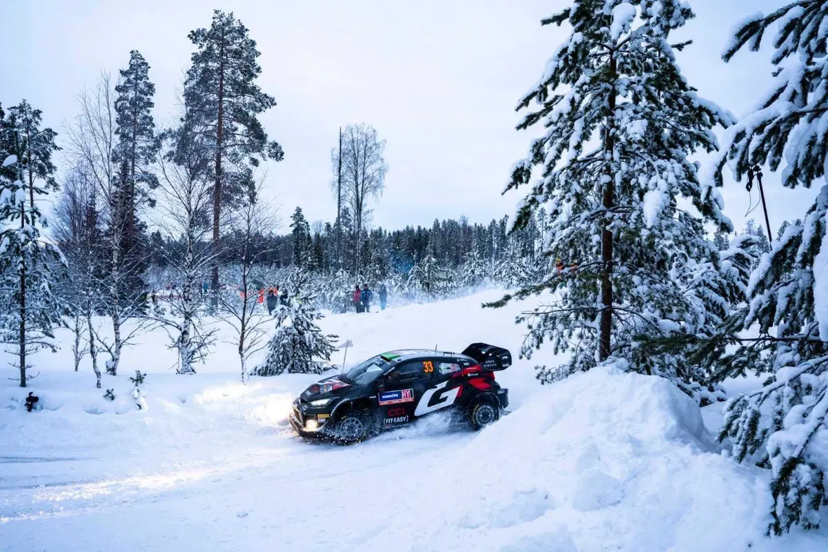 WRC24 Svezia. Esapekka “EP” Lappi vince, Evans fa il pieno (29)