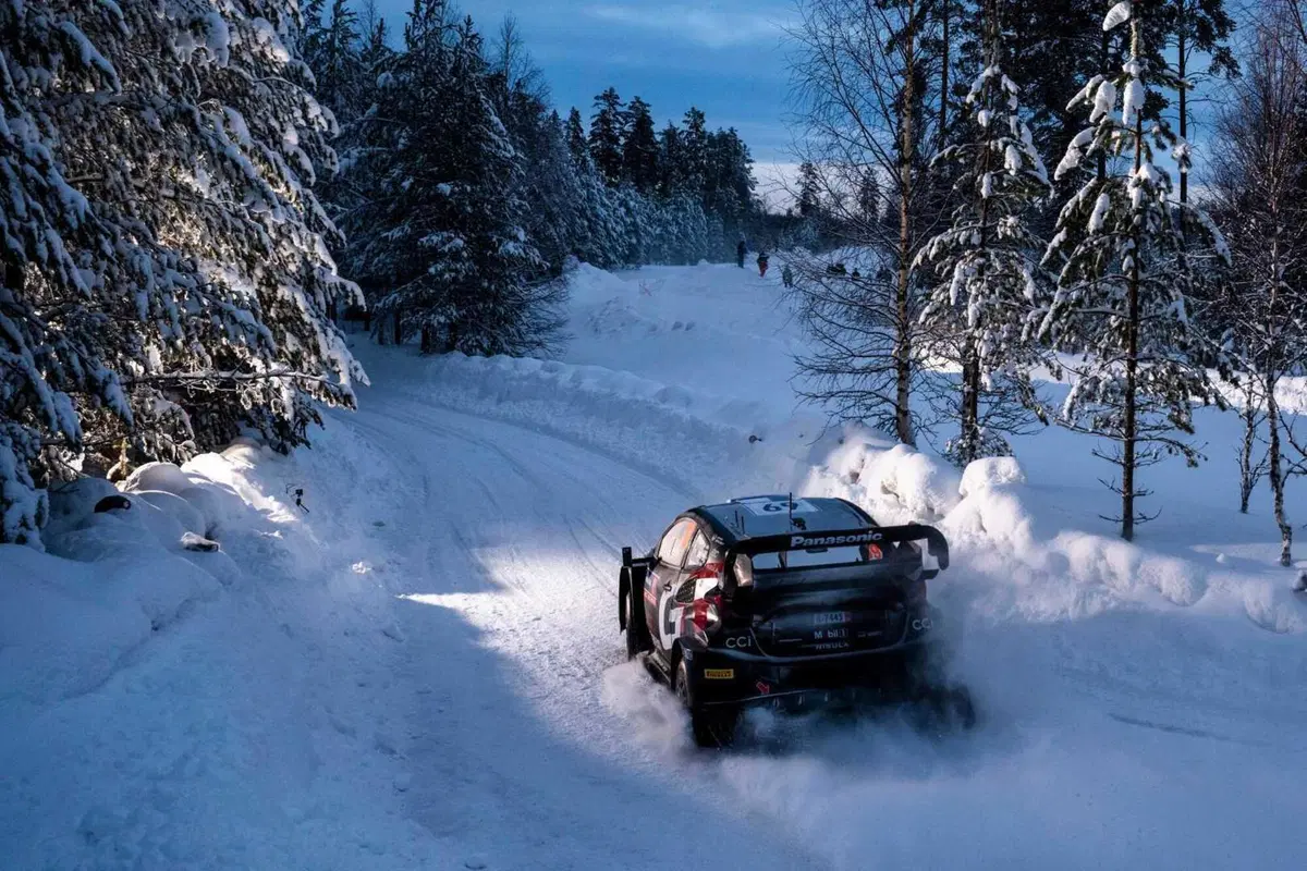 WRC24 Svezia. Esapekka “EP” Lappi vince, Evans fa il pieno (23)