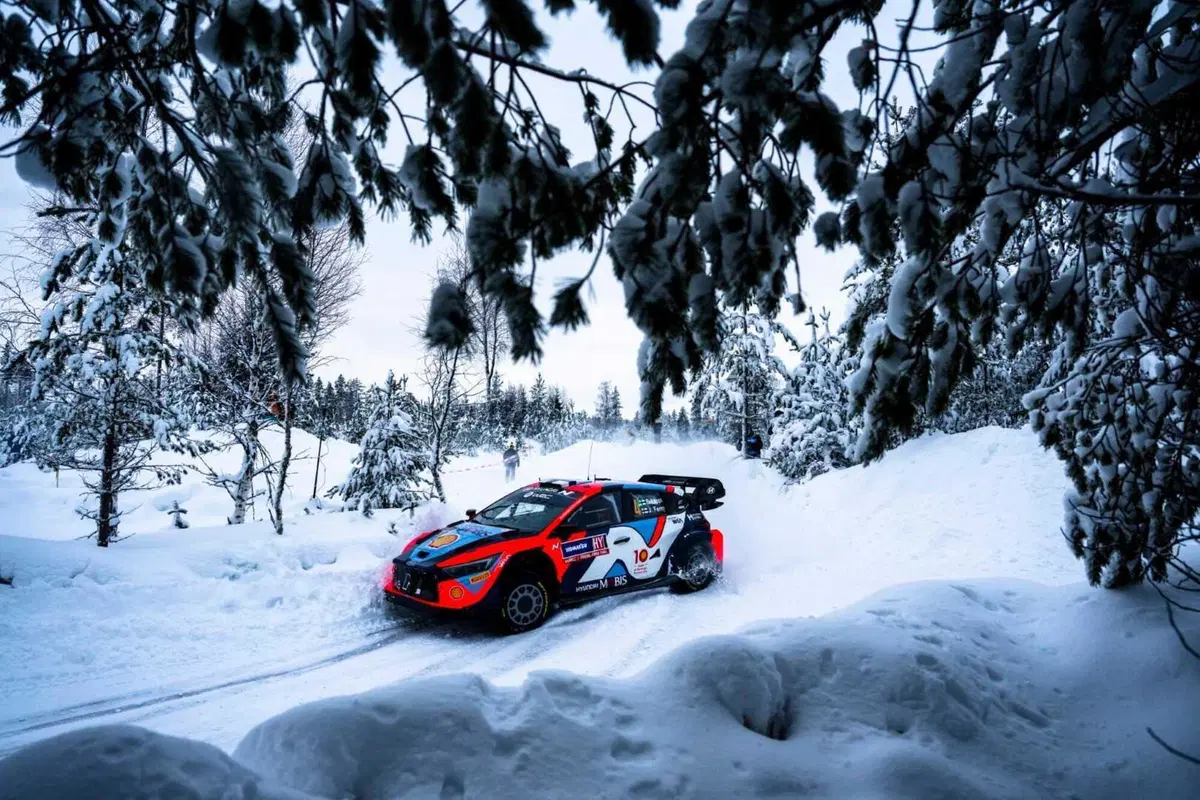 WRC24 Svezia. Esapekka “EP” Lappi vince, Evans fa il pieno (30)