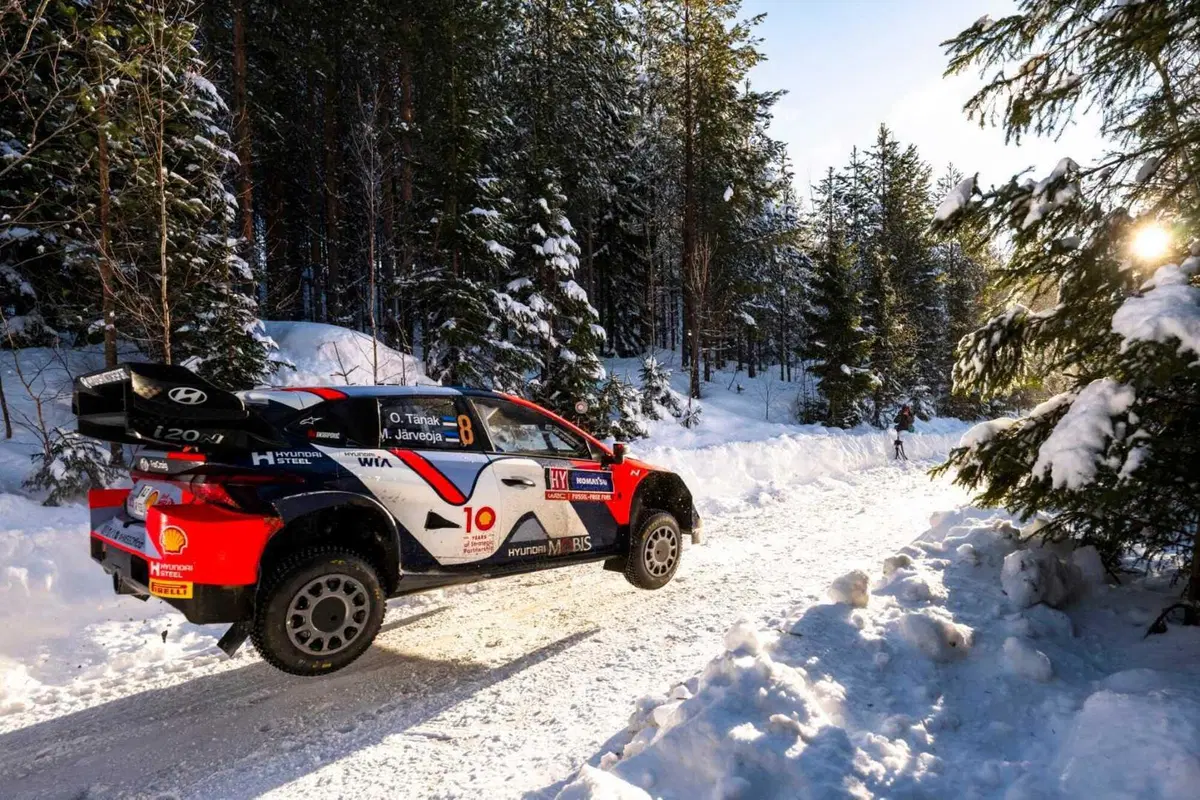 WRC24 Svezia. Esapekka “EP” Lappi vince, Evans fa il pieno (24)