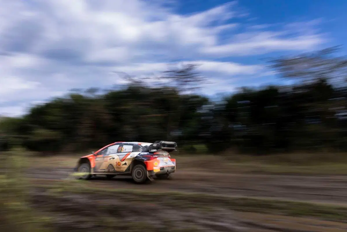 WRC24 Kenya D2. Rovanpera vola sul Safari, Neuville iper sfortunato (3)
