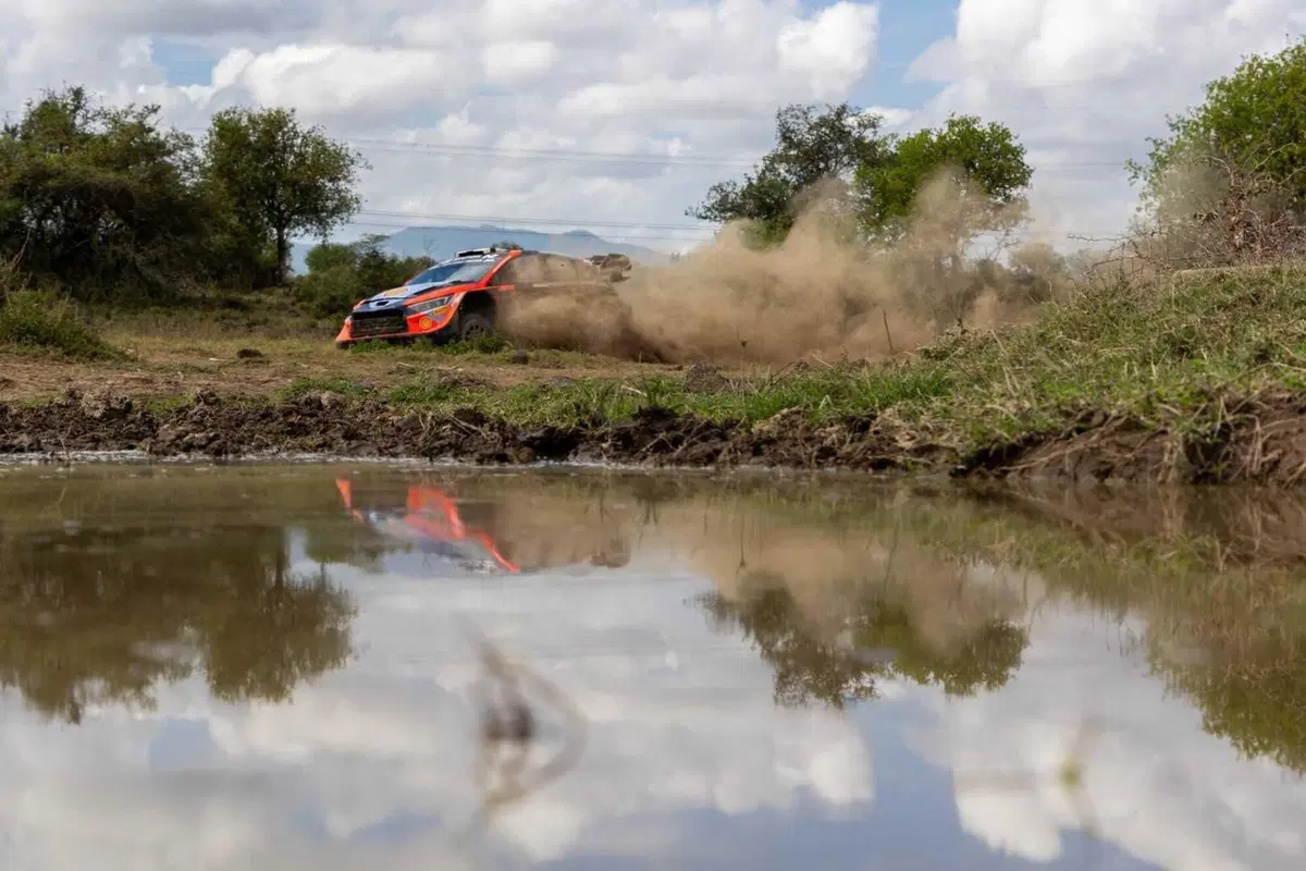WRC24 Kenya D2. Rovanpera vola sul Safari, Neuville iper sfortunato (5)