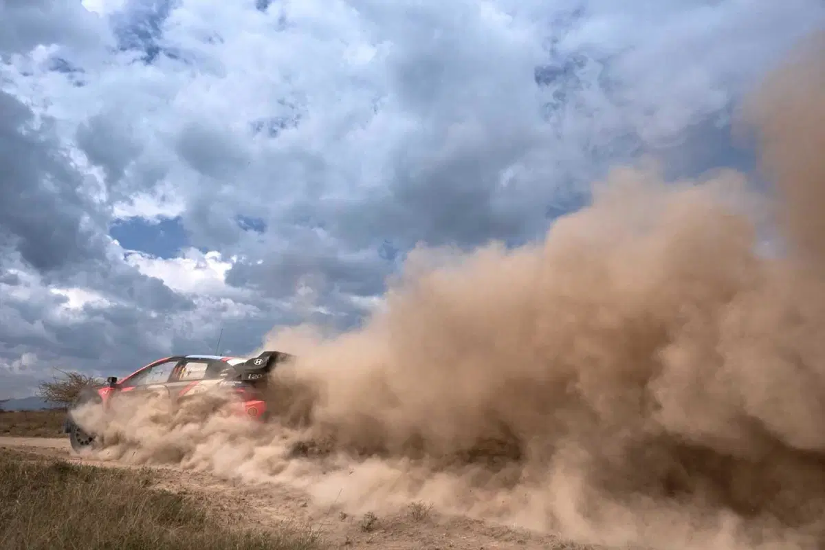 WRC24 Kenya D2. Rovanpera vola sul Safari, Neuville iper sfortunato (6)
