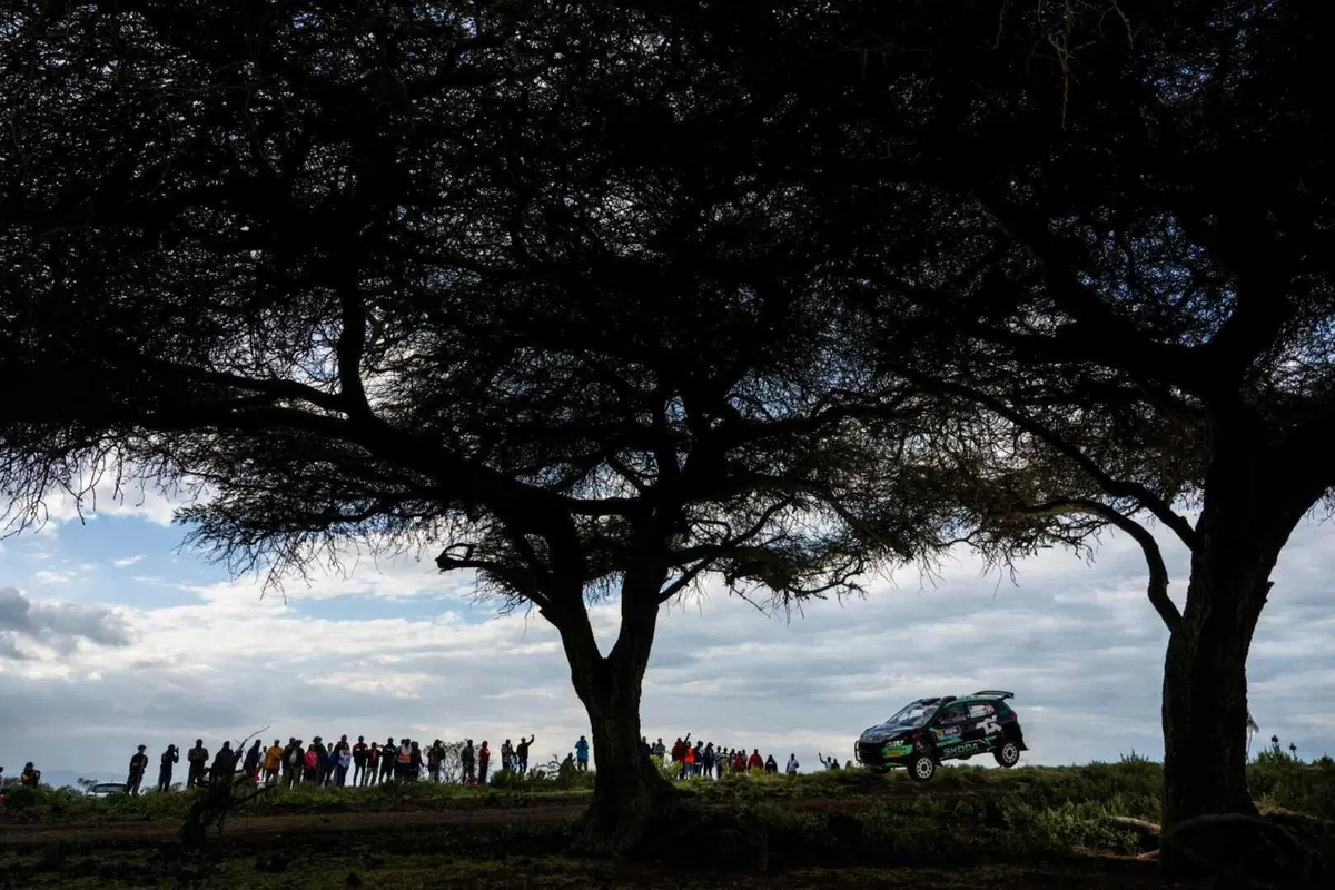 WRC24 Kenya D2. Rovanpera vola sul Safari, Neuville iper sfortunato (19)