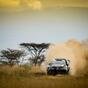 WRC24 Kenya. Rovanpera stravince il Safari, l’”eredità” del Titolo diventa affare complicato