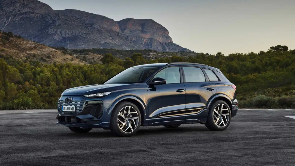 Audi Q6 Business quattro 387cv (2)