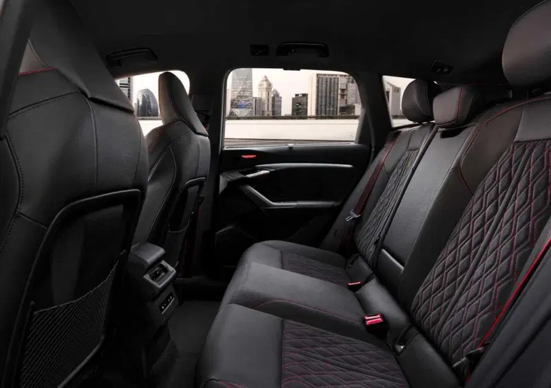 Audi SQ6 (10)