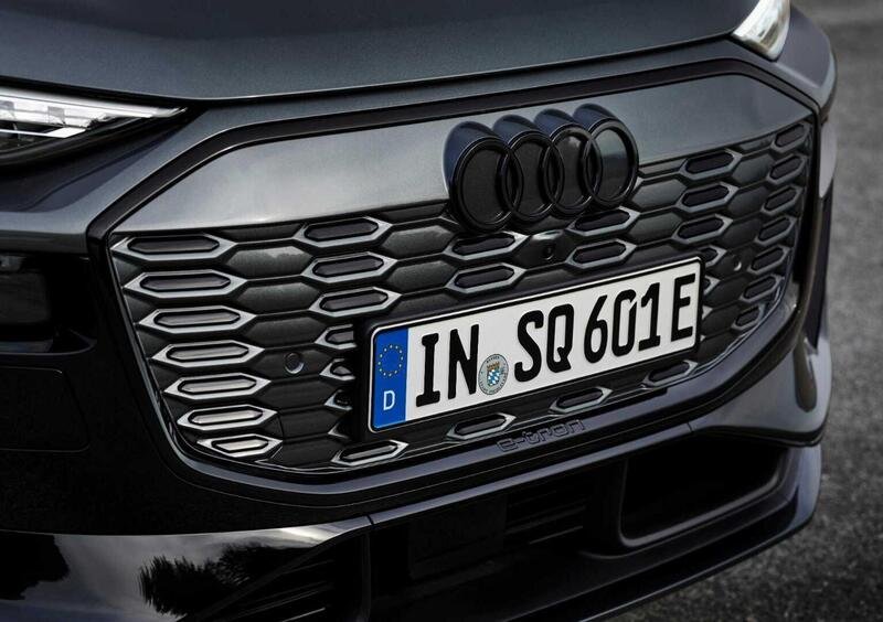 Audi SQ6 (13)