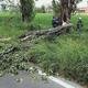 L’Incredibile fatalità, muore motociclista 53enne colpito da un albero