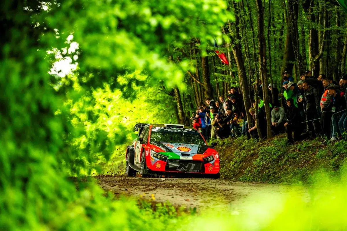 WRC24 Croatia indecifrabile (11)