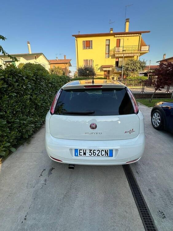 Fiat Punto 1.2 8V 3 porte Street  del 2014 usata a Martellago (2)