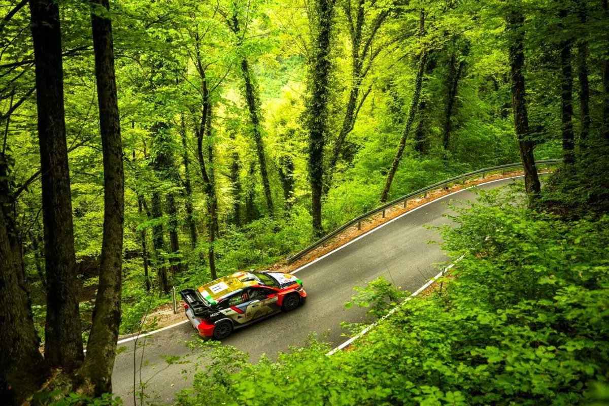 WRC24 Croatia. Vince Ogier. Colpo di scena (12)