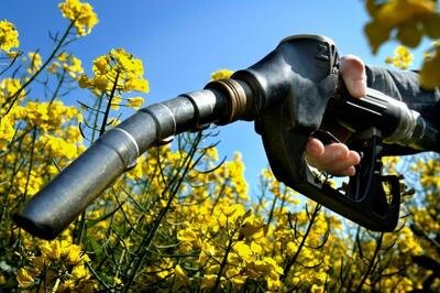 La Corte dei Conti europea boccia i bio-carburanti