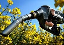 La Corte dei Conti europea boccia i bio-carburanti