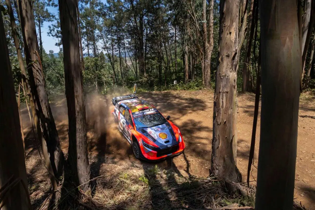 WRC24 Portogallo D2. Rovanpera, il solito sospetto (3)