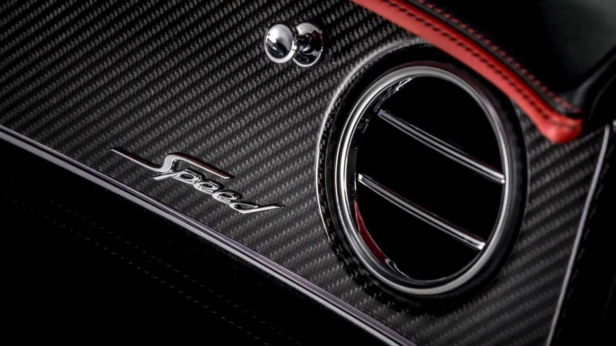 Bentley Continental GT Continental GT 6.0 W12 Speed Edition 12 auto (18)