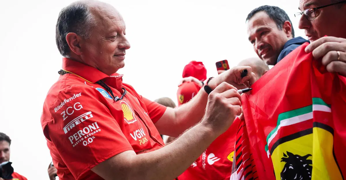 F1. Qualifiche GP Imola 2024, Vasseur: "La strategia sar&agrave; fondamentale se vogliamo vincere"