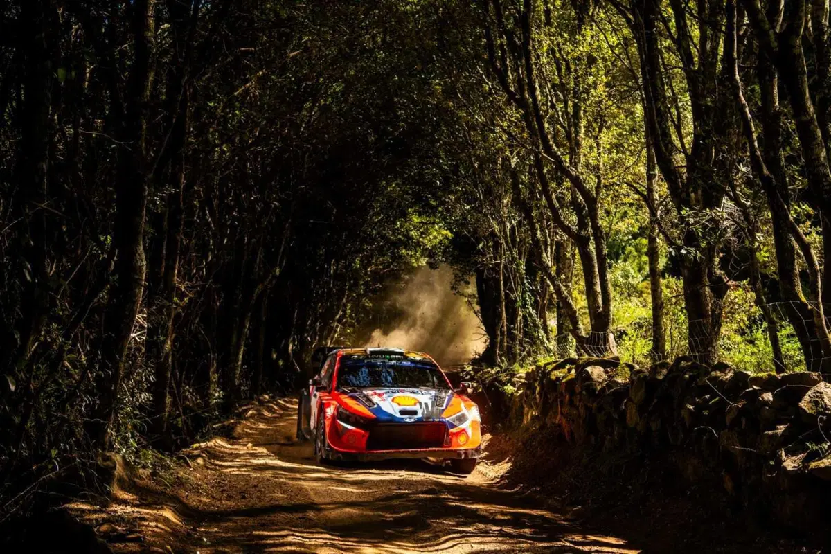 WRC24. 21° RIS. Sardegna stellare, spaziale Ogier [GALLERY] (12)