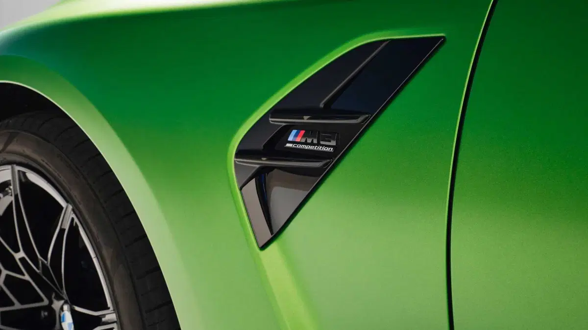 BMW Serie 3 M3 3.0 (10)