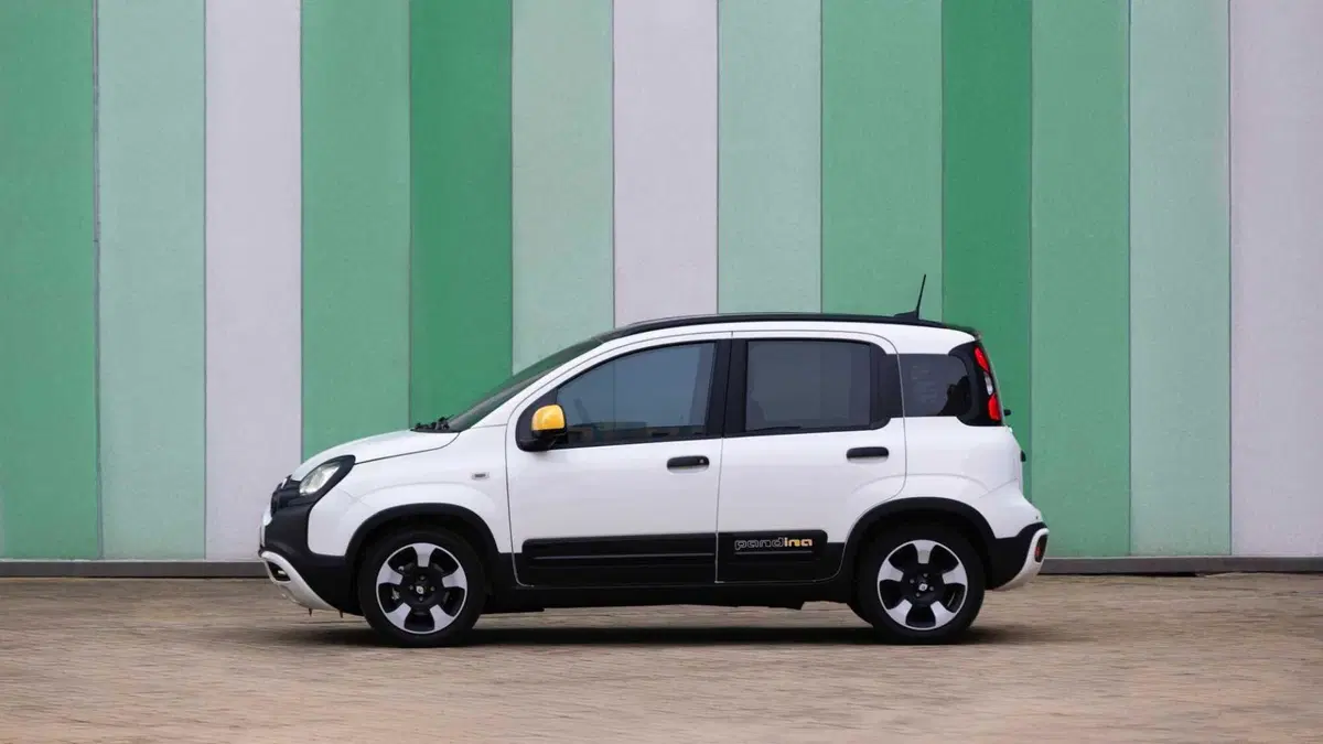 Fiat Pandina 1.0 firefly hybrid Icon s&s 65cv 5p.ti (6)