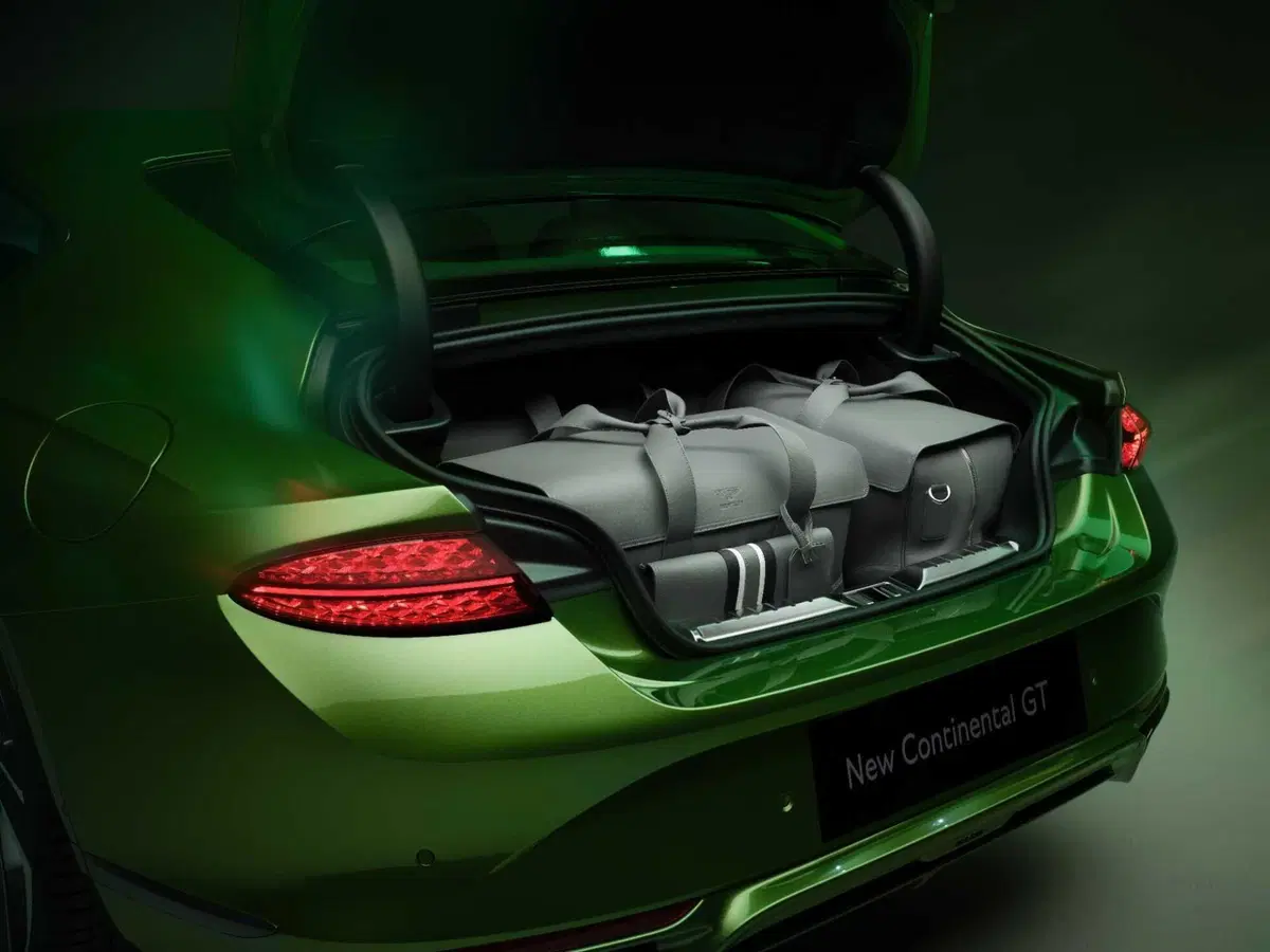 Bentley: due nuove Continental GT e GTC speed (17)
