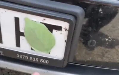 Autovelox, c'&egrave; il trucco della foglia, ma funziona?