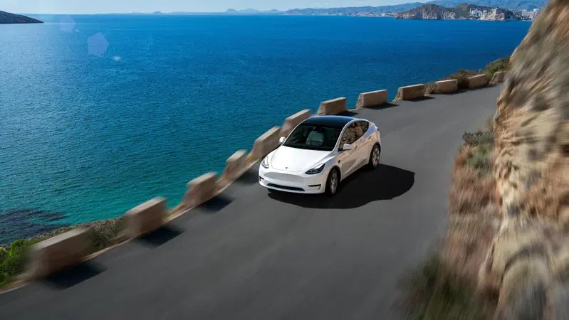 Alle Tesla (e alle altre elettriche) arrugginiscono i freni? C'&egrave; una soluzione casalinga  