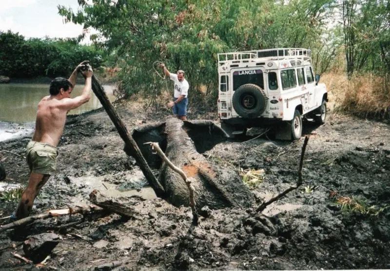 Il salvataggio dell'elefante