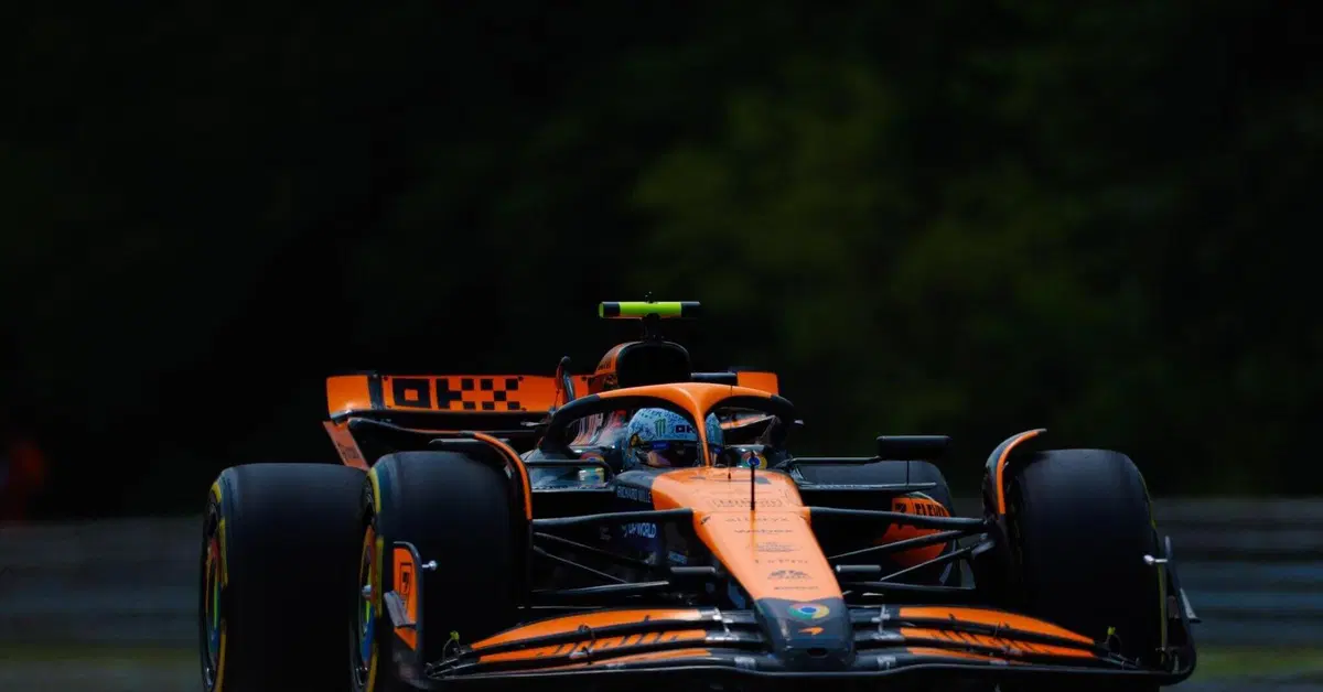 F1. GP Ungheria 2024: Lando Norris comanda le FP2. Leclerc finisce nelle barriere dell'Hungaroring