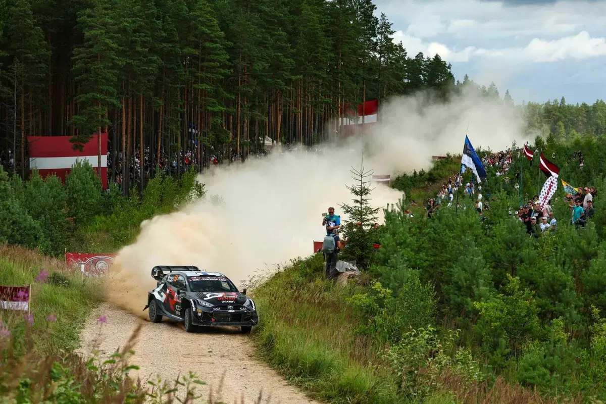 WRC24. Rally Latvia. Rovanpera “Standard”, Sesks Sensazione! [GALLERY] (7)