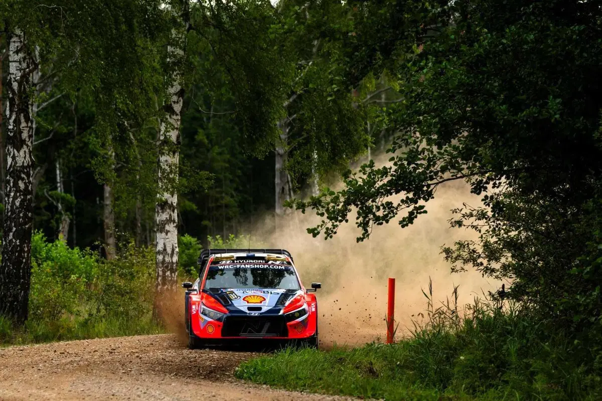 WRC24. Rally Latvia. Rovanpera “Standard”, Sesks Sensazione! [GALLERY] (9)