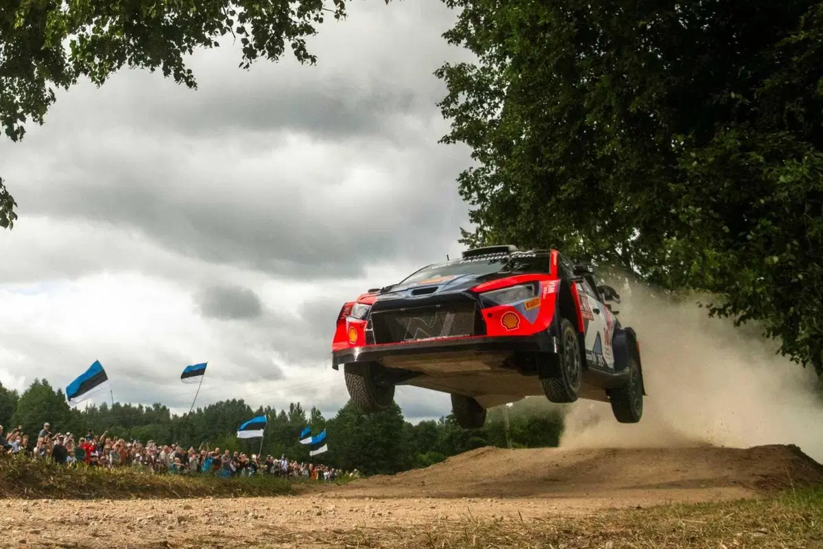 WRC24. Rally Latvia. Rovanpera “Standard”, Sesks Sensazione! [GALLERY] (11)