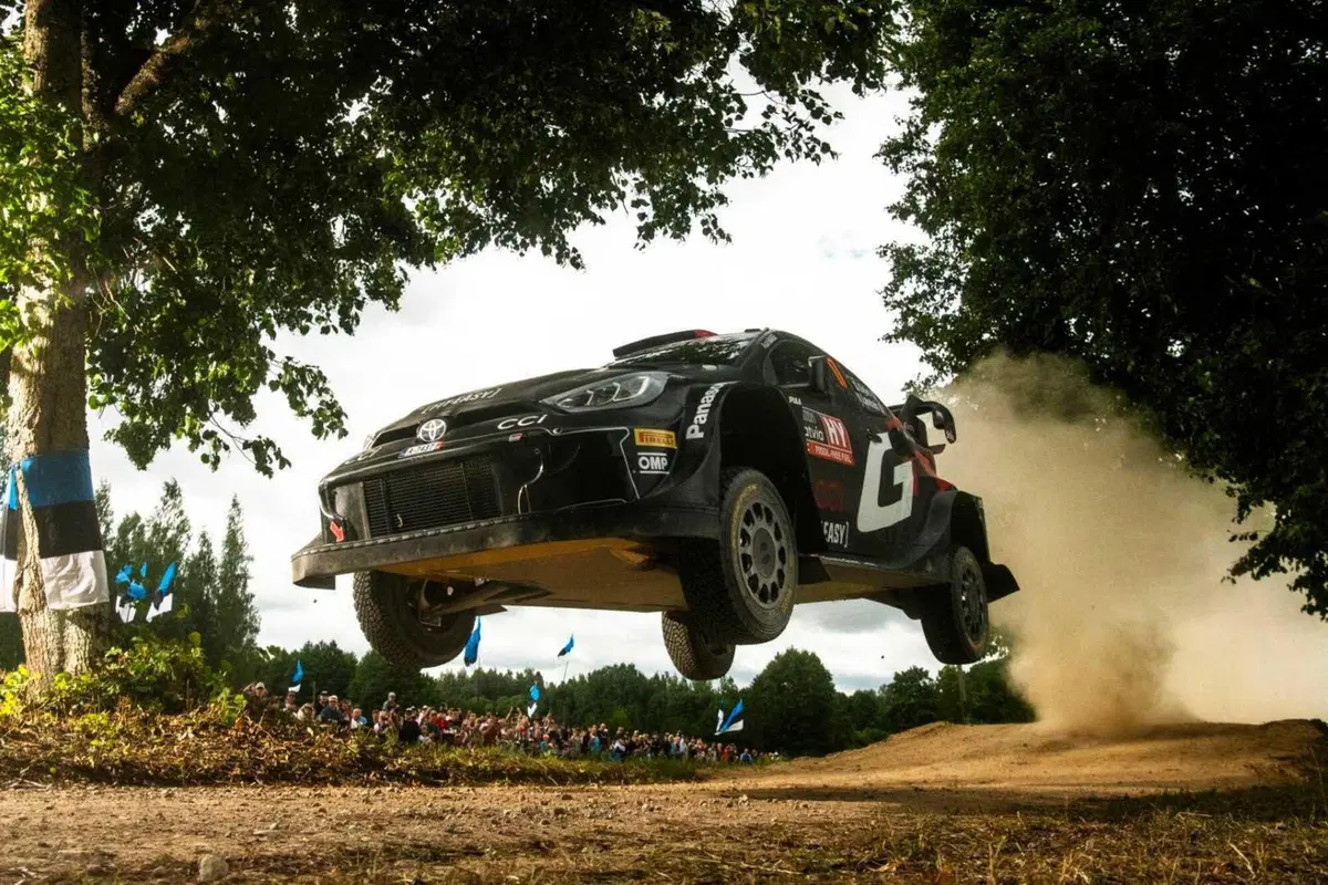 WRC24. Rally Latvia. Rovanpera “Standard”, Sesks Sensazione! [GALLERY] (6)