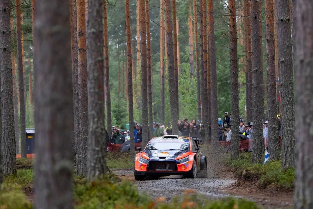 WRC24. Rally Finlandia D2. E via di triplete Toyota [GALLERY] (14)