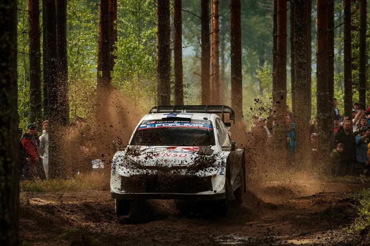 WRC24. Rally Finlandia D2. E via di triplete Toyota [GALLERY] (21)