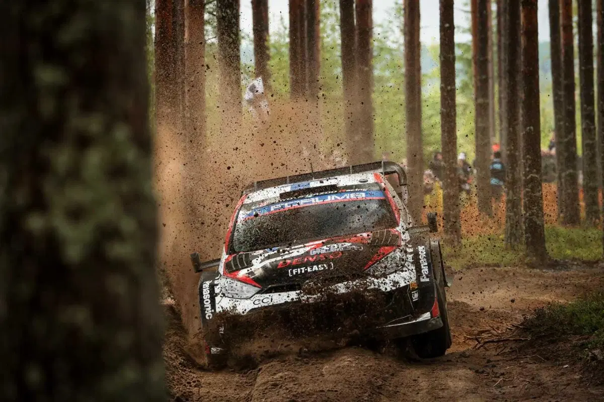 WRC24. Rally Finlandia D2. E via di triplete Toyota [GALLERY] (26)