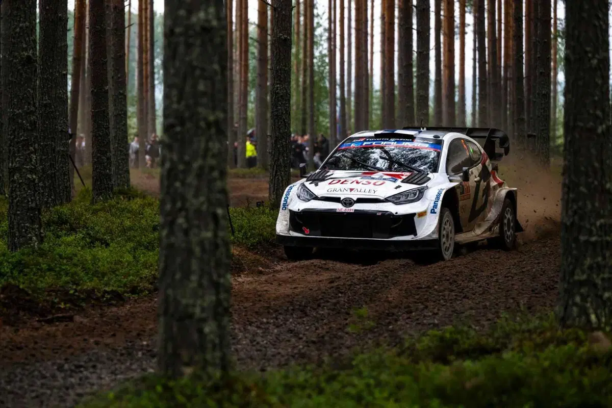 WRC24. Rally Finlandia D3. La “pratica” Rovanpera [GALLERY] (4)